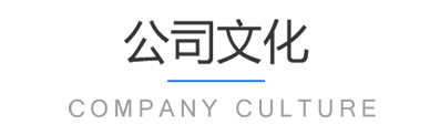 公司文化
